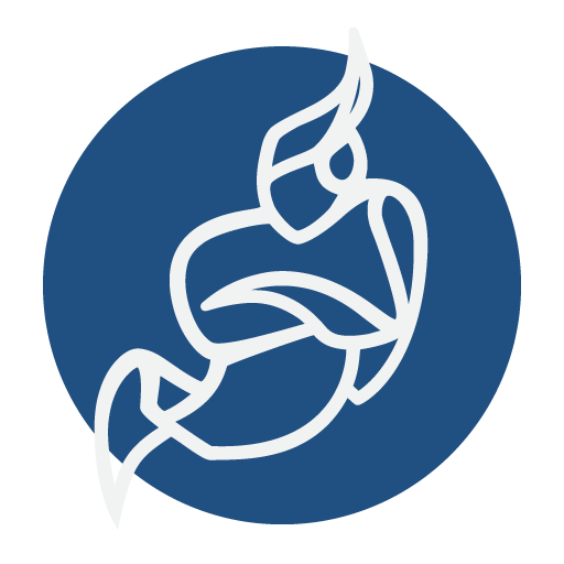 JITSI.ORG