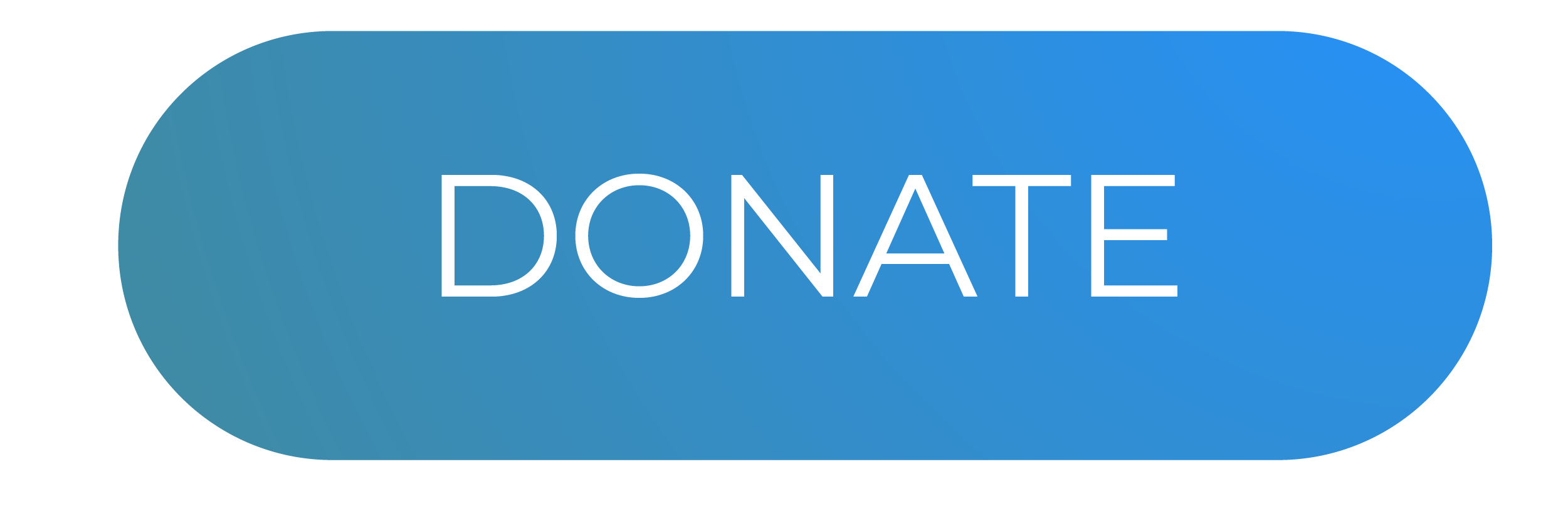DONATE BUTTON